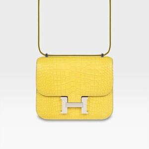 Hermès - Constance 18 - Mimosa Matte Alligator